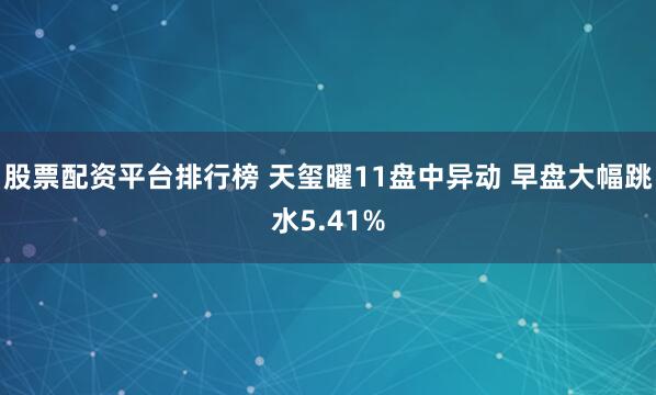 股票配资平台排行榜 天玺曜11盘中异动 早盘大幅跳水5.41%