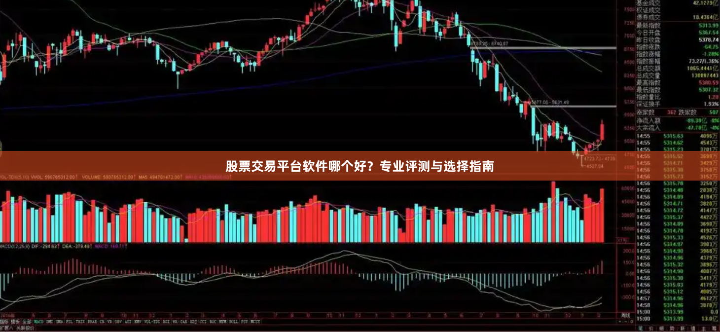 股票交易平台软件哪个好？专业评测与选择指南